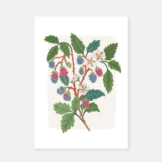 Berries || Art Print