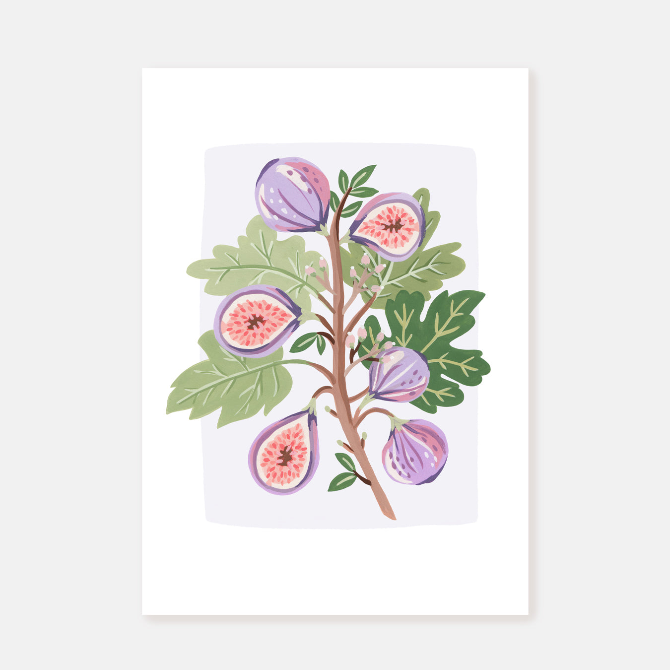 Figs || Art Print
