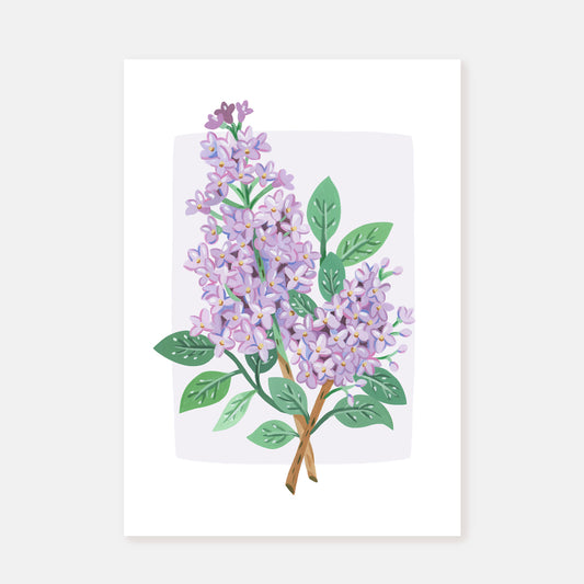 Lilac || Art Print